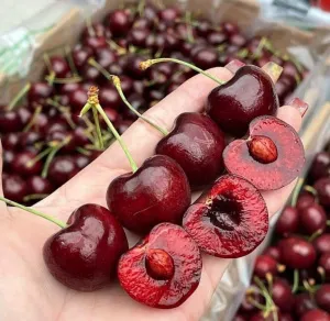 Sản phẩm thumb__300_300_0_0_auto — Công Ty TNHH Hoa Quả Sạch Fuji Fruit — MST 4201876027
