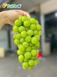 Sản phẩm thumb__300_300_0_0_auto — Công Ty TNHH Hoa Quả Sạch Fuji Fruit — MST 4201876027