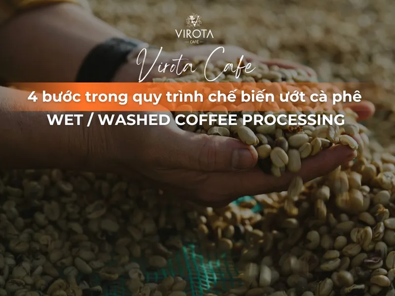 Sản phẩm Virota Cafe 9 — Công Ty Cổ Phần Thực Phẩm Đồi Xanh — MST 4201944911