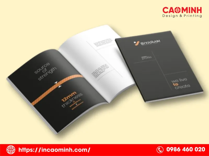 Sản phẩm In ho so nang luc_Xuong in an Cao Minh Nha Trang — In Cao Minh - Công Ty TNHH Thiết Kế In ấn Cao Minh — MST 4201958008