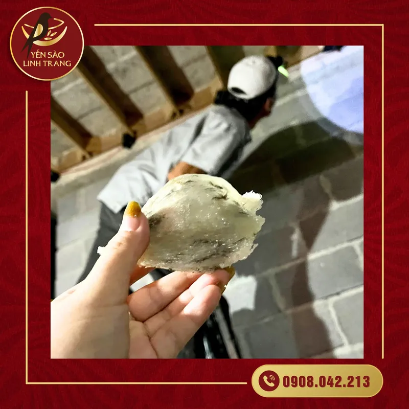 Sản phẩm z5443220765988_3014f02b82d10ef41d5da957dfeb28e9 — Yến Sào Linh Trang - Công Ty TNHH SX Và TM Linh Trang — MST 4201975878