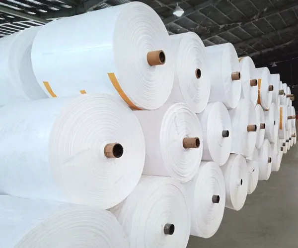 Sản phẩm bao det pp 5f4a16aa12a7a — Công Ty CP Giấy Hiệp Thành — MST 4300342280