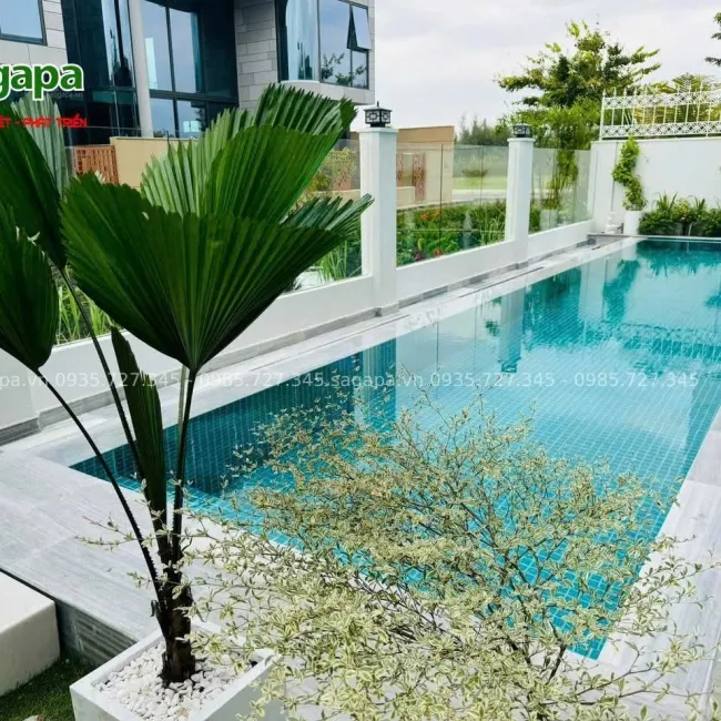 Sản phẩm z6995954903338_d2d32065cc7730bb5302cc776d142a087229_650x650 — Công Ty TNHH Sagapa — MST 4300808476