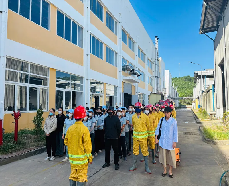 Sản phẩm ANH DAI DIEN 1 — Công Ty TNHH MH Textile (Việt Nam) — MST 4300832038