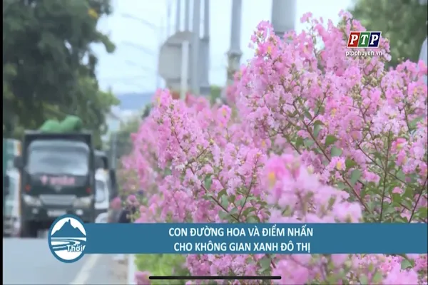Sản phẩm 816001c38a8877d62e99 — Công Ty Cổ Phần Môi Trường Đô Thị Phú Yên — MST 4400115884