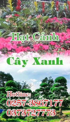 Sản phẩm hatcanhcayxanh — Công Ty Cổ Phần Môi Trường Đô Thị Phú Yên — MST 4400115884