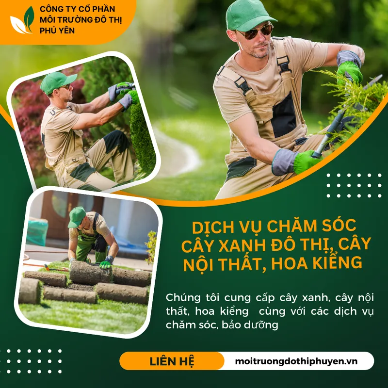 Sản phẩm dICH VU CHAM SOC CAY XANH — Công Ty Cổ Phần Môi Trường Đô Thị Phú Yên — MST 4400115884