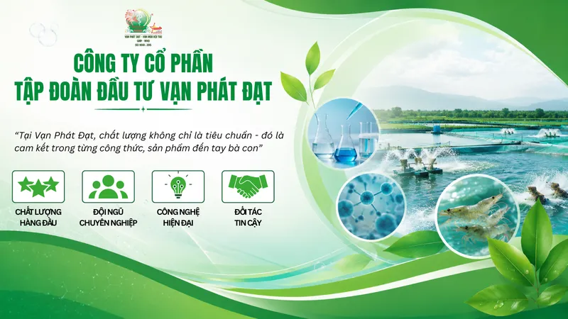 Sản phẩm 2 6 — Công Ty Cổ Phần Tập Đoàn Đầu Tư Vạn Phát Đạt — MST 4400990704
