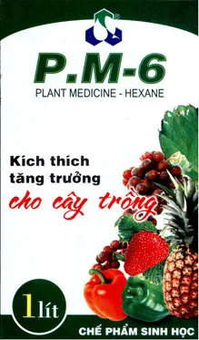 Sản phẩm 15719201392594022 — Công Ty Cổ Phần Công Trình Đô Thị Ninh Thuận — MST 4500137289