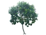 Sản phẩm 5587201393152751 — Công Ty Cổ Phần Công Trình Đô Thị Ninh Thuận — MST 4500137289