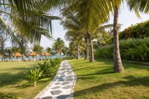 Sản phẩm R6_4566 choose 300x200 — Công Ty CP Du Lịch Sài Gòn - Ninh Chữ — MST 4500197295
