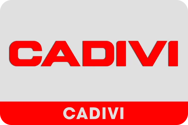 Sản phẩm 1dcd cadivi — Công Ty Cổ Phần Gia Việt — MST 4500242967
