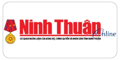 Sản phẩm bao ninh thuan — Thuê Xe Định Dung - Công Ty TNHH Vận Tải Định Dung — MST 4500659944