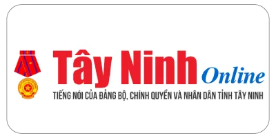 Sản phẩm bao tay ninh  — Thuê Xe Định Dung - Công Ty TNHH Vận Tải Định Dung — MST 4500659944