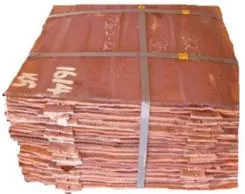 Sản phẩm 245_dongthoi — Công Ty TNHH An Cường — MST 4600463737