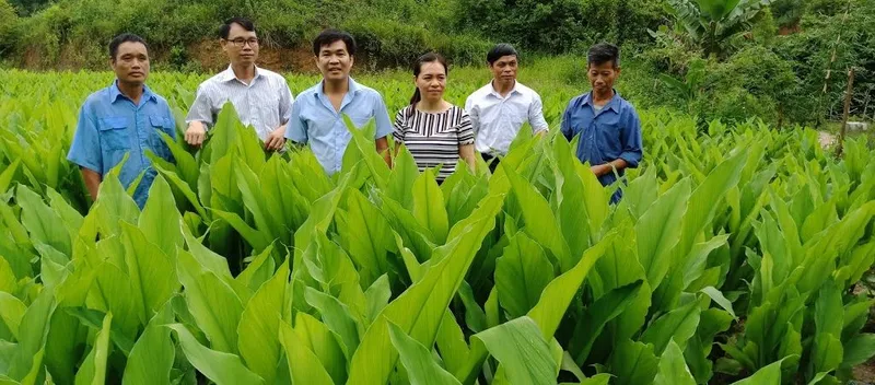 Sản phẩm vuon 1024x450 — Tinh Bột Nghệ Bắc Kạn - Công Ty Cổ Phần Nông Sản Bắc Kạn — MST 4700262061