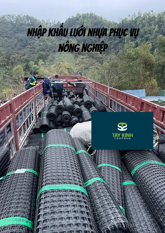 Sản phẩm 7xi581711676807 — Tây Kinh Logistics - Công Ty TNHH Tây Kinh — MST 4900798798