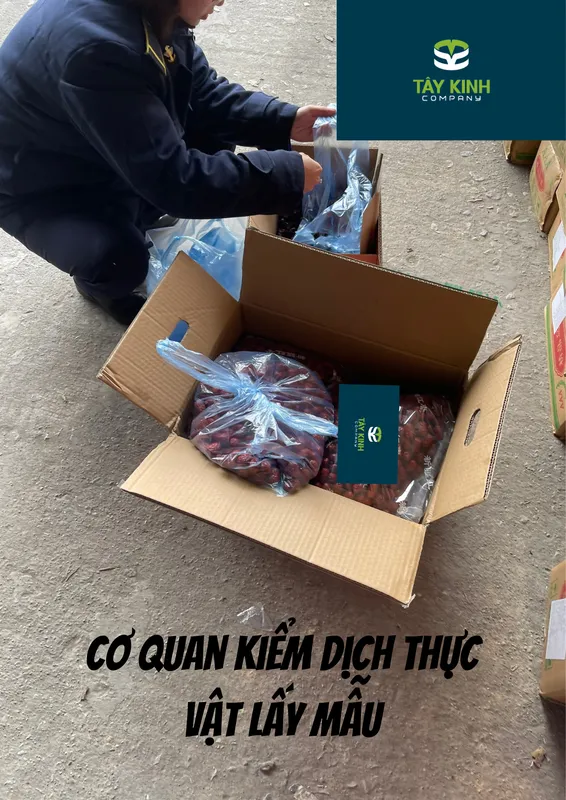 Sản phẩm Fk0k11711697729 — Tây Kinh Logistics - Công Ty TNHH Tây Kinh — MST 4900798798