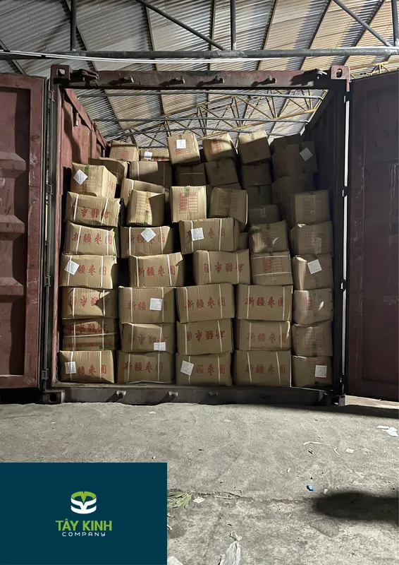 Sản phẩm Q1yJA1711676862 — Tây Kinh Logistics - Công Ty TNHH Tây Kinh — MST 4900798798