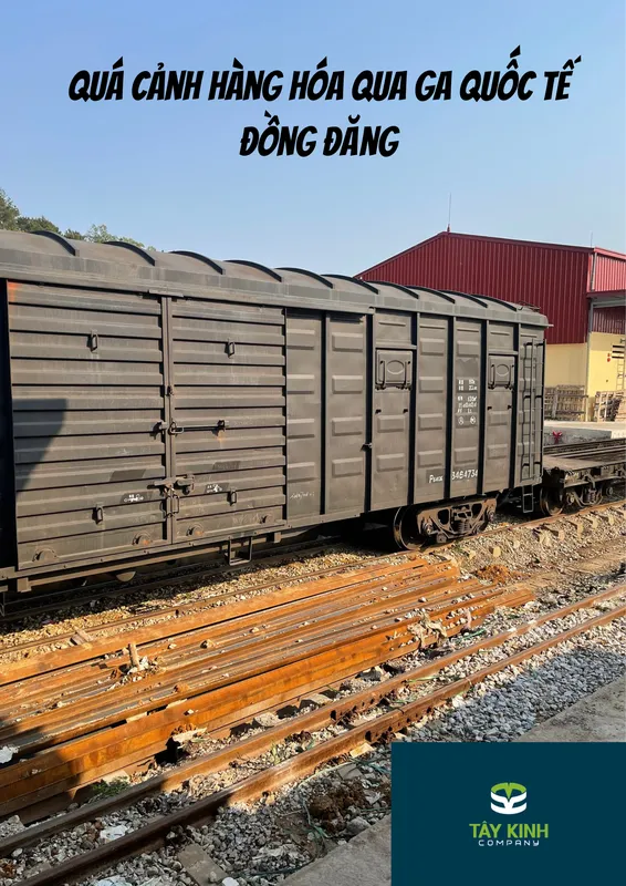 Sản phẩm c5R631711676789 — Tây Kinh Logistics - Công Ty TNHH Tây Kinh — MST 4900798798