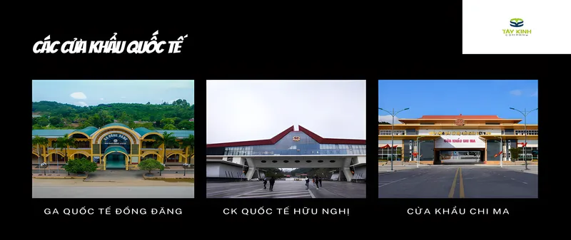 Sản phẩm 1G3CO1711618457 — Tây Kinh Logistics - Công Ty TNHH Tây Kinh — MST 4900798798