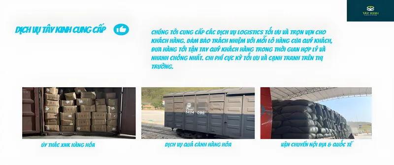 Sản phẩm jzCQo1711618180 — Tây Kinh Logistics - Công Ty TNHH Tây Kinh — MST 4900798798