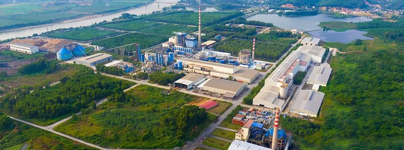 Sản phẩm an hoa paper — Giấy An Hòa - Công Ty CP Giấy An Hòa — MST 5000219471