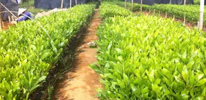 Sản phẩm moi truong — Giấy An Hòa - Công Ty CP Giấy An Hòa — MST 5000219471