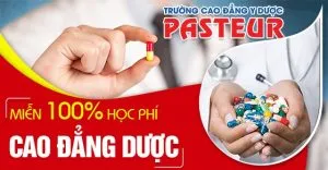 Sản phẩm Mien 100 hoc phi cao dang duoc pasteur 3 8 560x 300x156 — Trường cao đẳng Y Dược Pasteur — MST 5200488793
