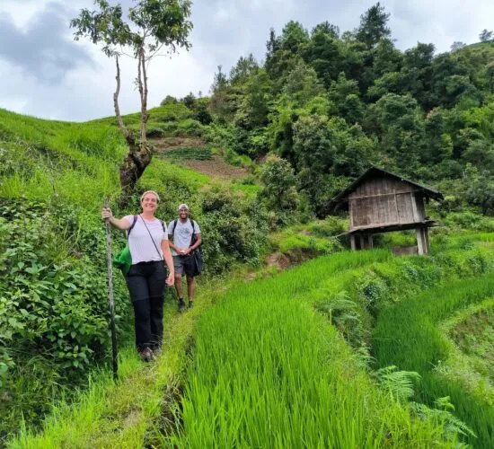Sản phẩm 366806836_6599877956746439_3118424326881635589_n 550x500 — Công Ty TNHH Thương Mại và Dịch Vụ Du Lịch Zonitrip — MST 5200863563