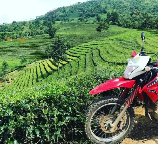 Sản phẩm 70289440_2345402442385900_4834383573123334144_o.960px 550x500 — Công Ty TNHH Thương Mại và Dịch Vụ Du Lịch Zonitrip — MST 5200863563