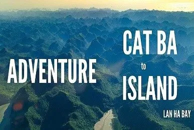 Sản phẩm anh bia cat ba — Công Ty TNHH Thương Mại và Dịch Vụ Du Lịch Zonitrip — MST 5200863563