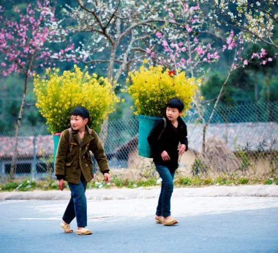 Sản phẩm ha giang spring vietnam zonitrip.960px 550x500 — Công Ty TNHH Thương Mại và Dịch Vụ Du Lịch Zonitrip — MST 5200863563