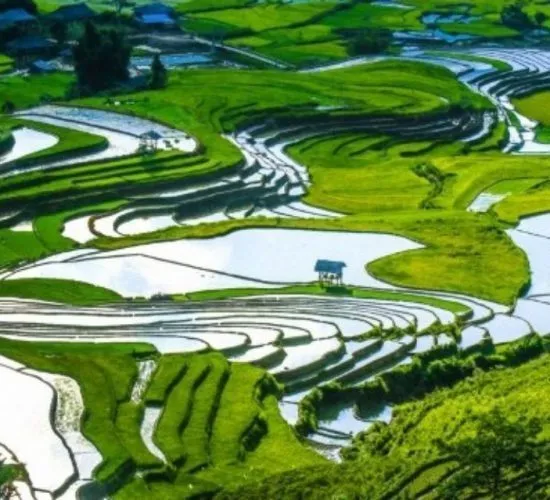 Sản phẩm mu cang chai dep me hon mua nuoc do 3_batch 550x500 — Công Ty TNHH Thương Mại và Dịch Vụ Du Lịch Zonitrip — MST 5200863563