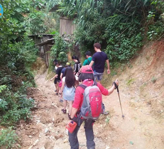 Sản phẩm trekking vietnam tour 550x500 — Công Ty TNHH Thương Mại và Dịch Vụ Du Lịch Zonitrip — MST 5200863563