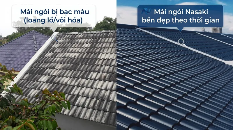 Sản phẩm ảnh 1 — Ngói Nasaki - Công Ty TNHH Nasaki Việt Nam — MST 5200886627