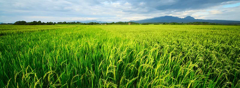 Sản phẩm 1 — Công Ty TNHH Một Thành Viên Apatit Việt Nam — MST 5300100276