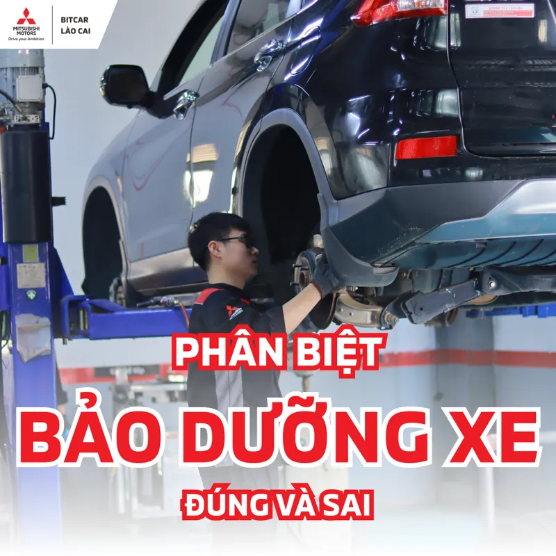 Sản phẩm BD 01 1024x1024 — Công Ty CP Hà Nội Bitcar Lào Cai — MST 5300816944