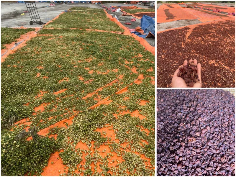 Sản phẩm 011 — Công Ty TNHH Gia Vị Doispice — MST 5400515154