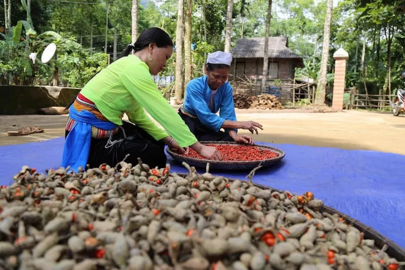 Sản phẩm 06a359ee4fd2b38ceac3 — Công Ty TNHH Gia Vị Doispice — MST 5400515154