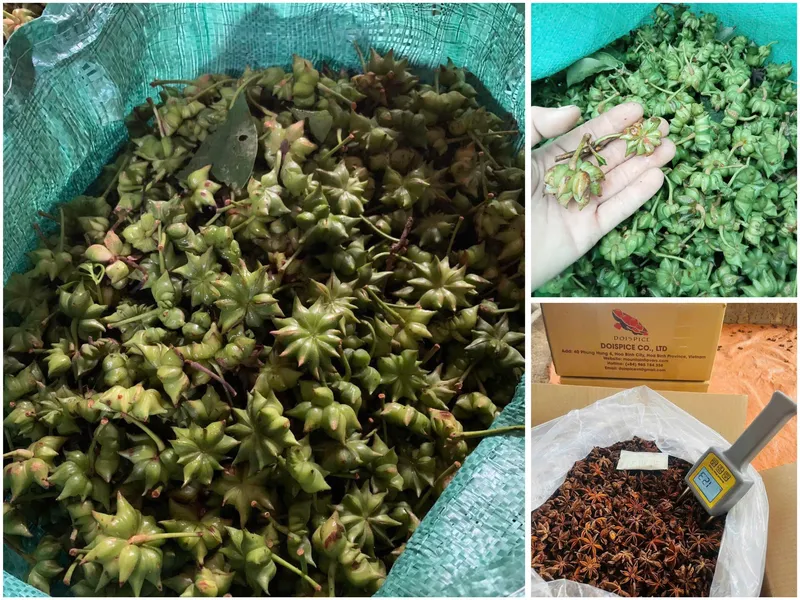 Sản phẩm z6933771663882_b8e20a20189034503ac0792b073d0dee — Công Ty TNHH Gia Vị Doispice — MST 5400515154