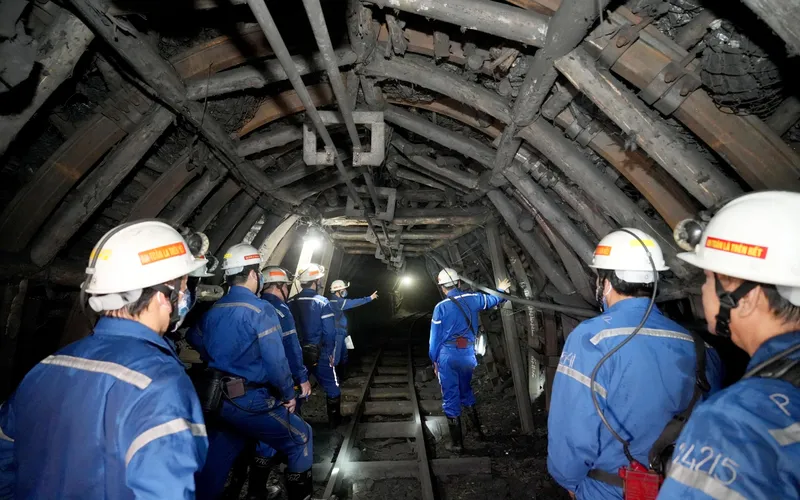 Sản phẩm 13 — Mạo Khê - Công Ty TNHH Một Thành Viên Than Mạo Khê — MST 5700101806