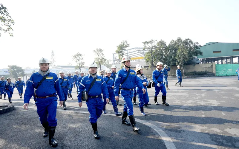 Sản phẩm 3 — Mạo Khê - Công Ty TNHH Một Thành Viên Than Mạo Khê — MST 5700101806