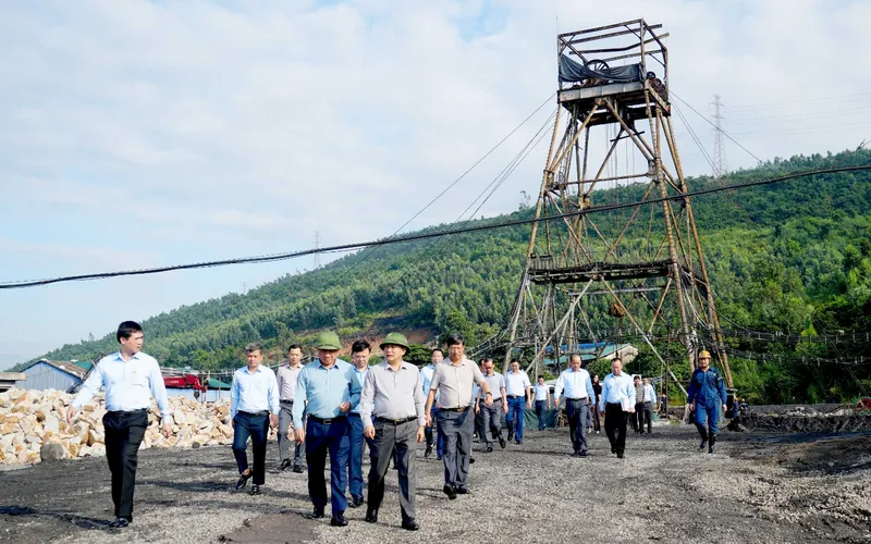 Sản phẩm 9 — Mạo Khê - Công Ty TNHH Một Thành Viên Than Mạo Khê — MST 5700101806