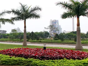 Sản phẩm cp — Công Ty Cổ Phần Xi Măng Cẩm Phả — MST 5700804196