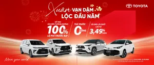 Sản phẩm d28e4d12e4fd56b839f343c015278dac 300x128 — Công Ty TNHH MTV Toyota Quảng Ninh — MST 5701566226