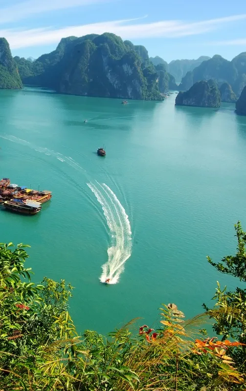 Sản phẩm bai tu long destination — Công Ty TNHH MTV Du Lịch Thiên Đường G.B.U — MST 5701642237