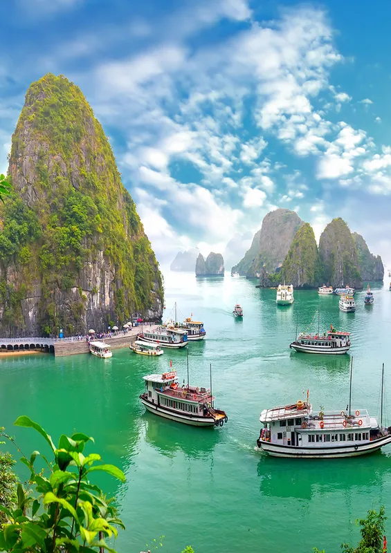 Sản phẩm bai tu long — Công Ty TNHH MTV Du Lịch Thiên Đường G.B.U — MST 5701642237
