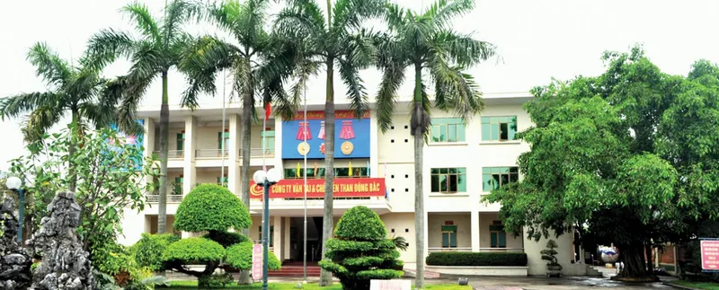 Sản phẩm slide 7 cr 1265x510 — Công Ty CP Vận Tải & Chế Biến Than Đông Bắc — MST 5701650781