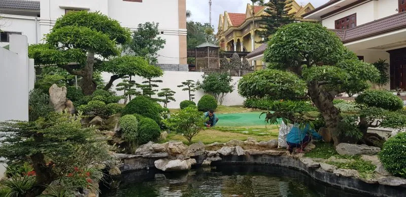 Sản phẩm agrico thuc hien dich vu cham soc cay dinh ky tai cac biet thu villa1 800x389 — Công Ty Cổ Phần Công Nghệ Agrico — MST 5701817462